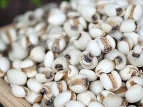 千金苇茎汤合麻杏石甘汤加减治疗肺粘连