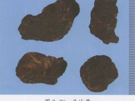 小儿温热病的中医治疗医案