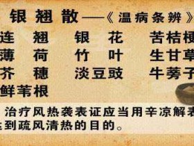 风温的中医治疗医案二则