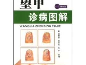 《望甲诊病图解》