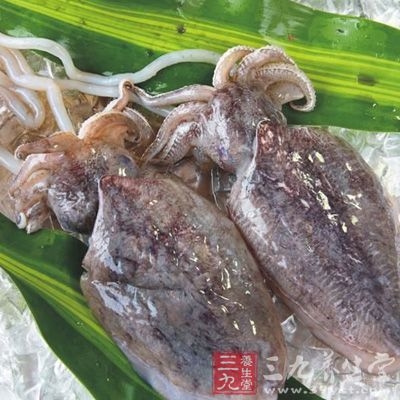 加工墨鱼干的剖割过程讲解