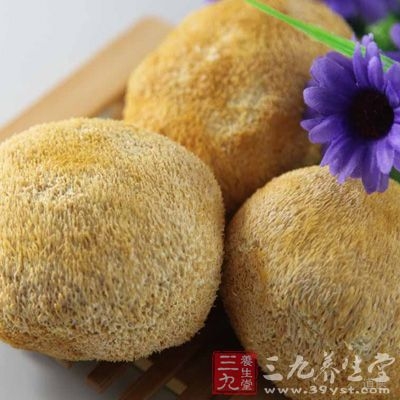 猴头菇具有健胃，补虚，抗癌，益肾精之功效