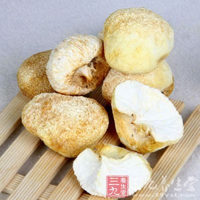 猴头菇是我国著名的八大山珍之一