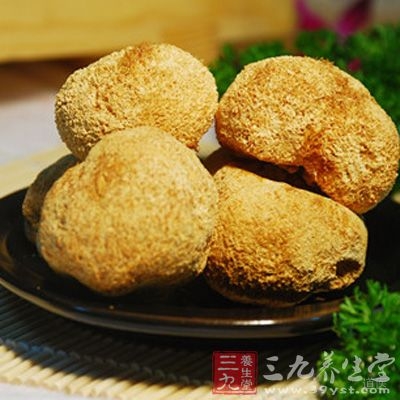 猴头菇能治胃病吗