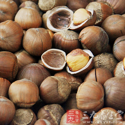 榛子是继植物油之后第二大维生素E的来源