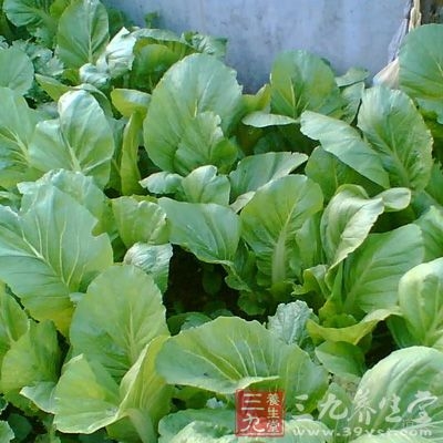 而蔬菜类的食材中，茎叶类蔬菜硝酸盐含量最高