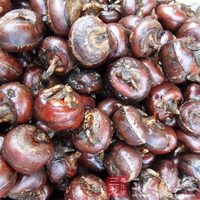 因为马蹄是寒性食物，既可清热生津，又可补充营养，所以最宜用于发烧病人