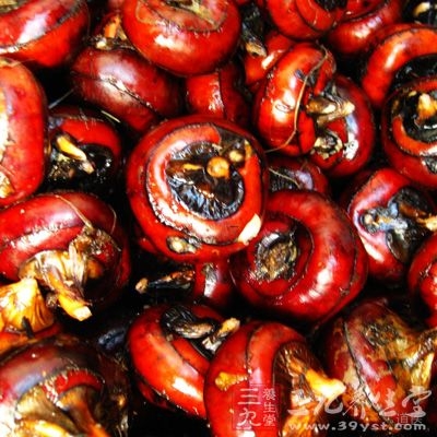 茡荠还含有防治癌症的有效成分，临床中多用于肺癌、食道癌、乳癌，是很好的辅助治疗食品