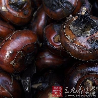 治小儿口疮：马蹄烧存性，研末掺之