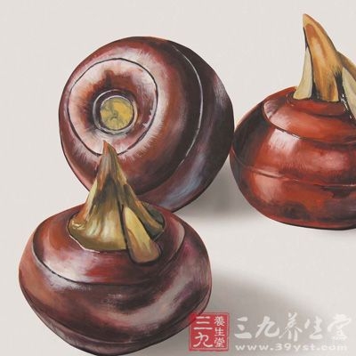 将采收的马蹄球茎去除杂物，清洗后迅速浸入次氯酸钠溶液中贮藏
