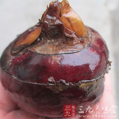 马蹄怎样吃有营养