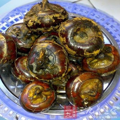 强力清肺选马蹄