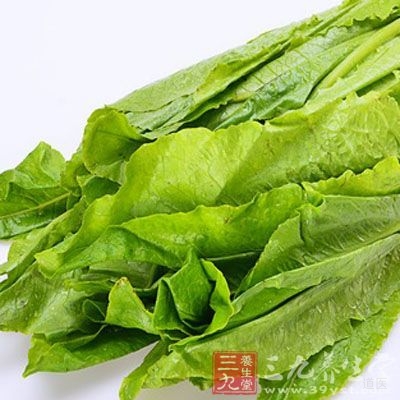 油麦菜的茎能吃吗