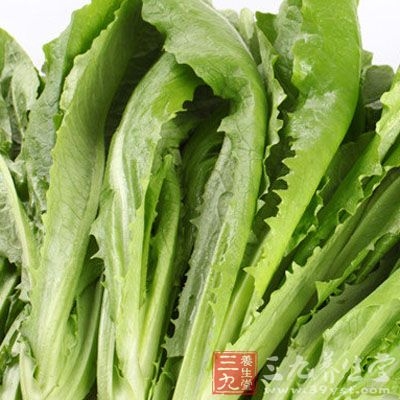 而且这种油麦菜从本质上面来说是属于寒性食物的