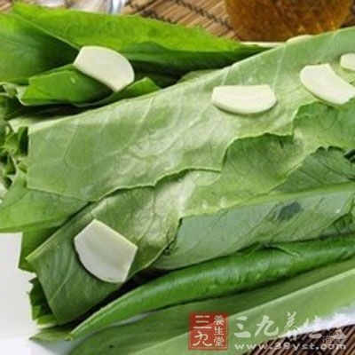 鲮鱼油麦菜