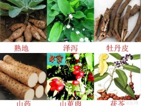 六味地黄汤加味补肾强精、疏络祛邪