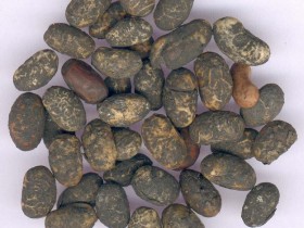 消渴的中医辨证论治