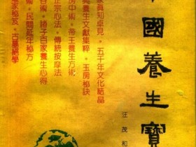 《中国养生宝典》