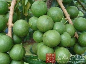 夏威夷果的功效与作用及食用方法，夏威夷果的营养价值