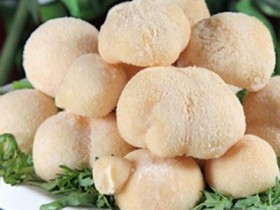 猴头菇的功效与作用，猴头菇的家常做法大全