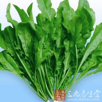 荠菜不宜久烧久煮