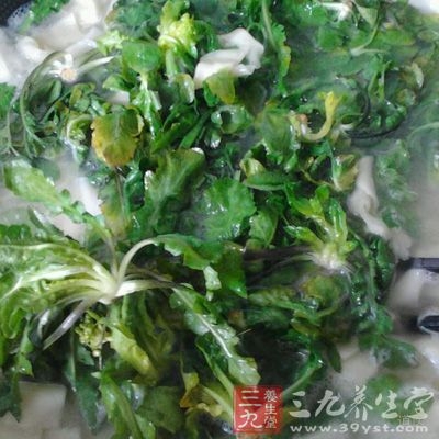 荠菜具有极高的食用价值