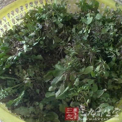 野菜，并非特指某种蔬菜