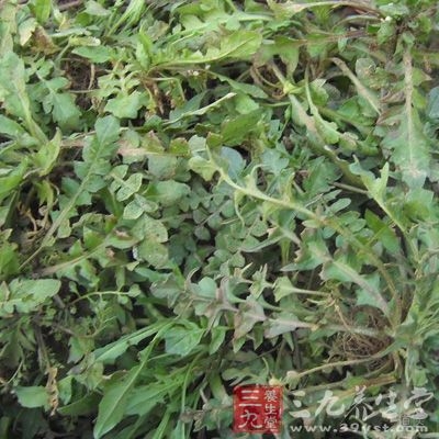 三月三、荠菜煮鸡蛋