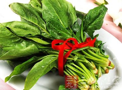 芸苔属一年生或二年生草本