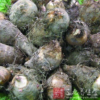 芋头为碱性食品，能中和体内积存的酸性物质，调整人体的酸碱平衡