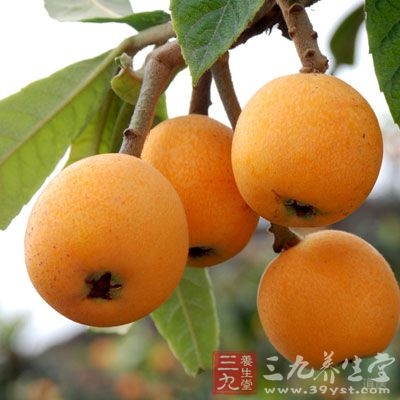 成熟的枇杷味道不错，营养颇丰