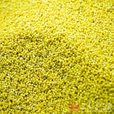 小米性凉、味甘、咸，归肾、脾、胃经