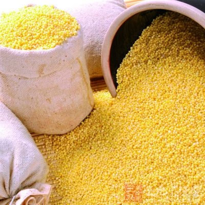 小米即粟米，能开肠胃、补虚损、益丹田