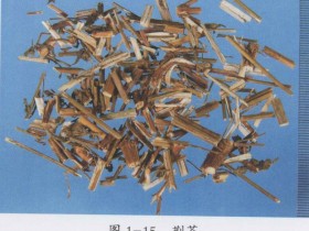 风寒感冒的症状,风寒感冒中医方剂