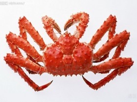 螃蟹的营养价值及功效，吃螃蟹的禁忌，螃蟹的做法大全