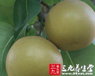 梨子可解酒保护肝脏