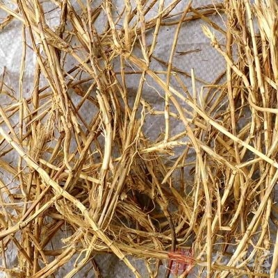 白茅根 白茅根味甘,性寒,功擅凉血止血