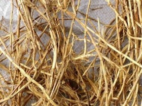 小蓟饮子加减治疗急性肾炎