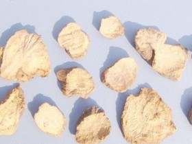 慢性肝炎并胆囊炎的中医治疗医案