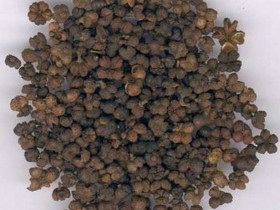 大建中汤加减治疗虚寒腹痛