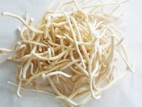 旋覆代赭汤合温胆汤加减治疗胸部满闷，胃脘痞塞