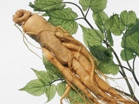 大半夏汤合枳实栀子豉汤、大黄甘草汤加味治疗噎膈兼反胃呕吐