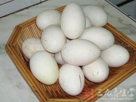鹅蛋的功效与作用及食用方法