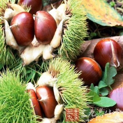 生栗子维生素的含量可高达40～60毫克