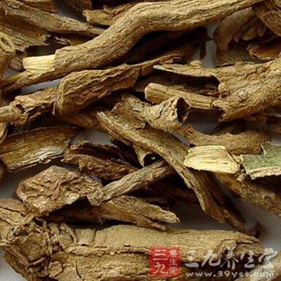 地骨皮就是枸杞子植物根的皮