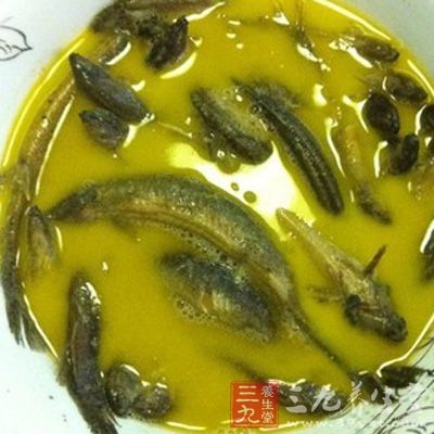 泥鳅汤主治多汗、自汗、盗汗等症