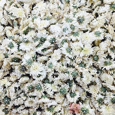 菊花用来治头痛