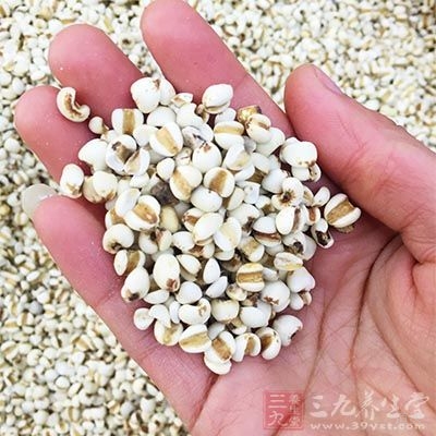 手足肿胀明显者加薏仁