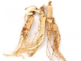 生脉散加味治疗风湿性心脏病