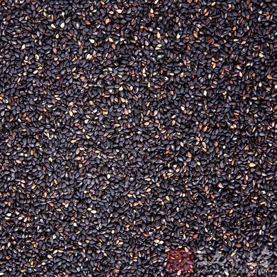 经过九晒，芝麻又获得了太阳的能量，这在养生家看来是得了天地间的阳气，虽然看不见摸不着，但对人体大有裨益